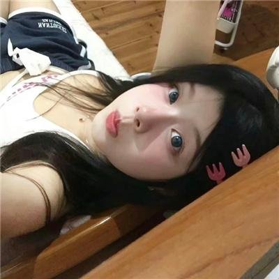 翱翔于天际的夜鹰